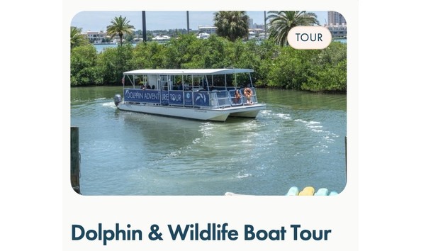 Big image dolphin and wildlife tour