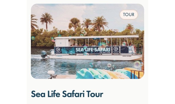 Big image sea life tour