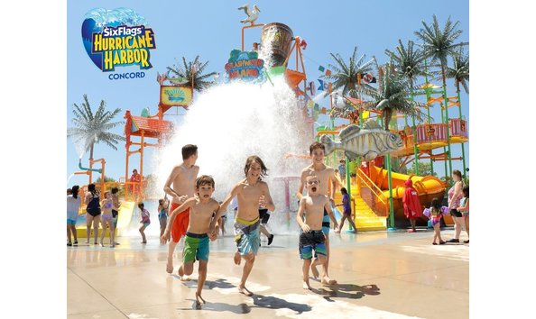 Big image mini magick20240212 45368 l9vidy