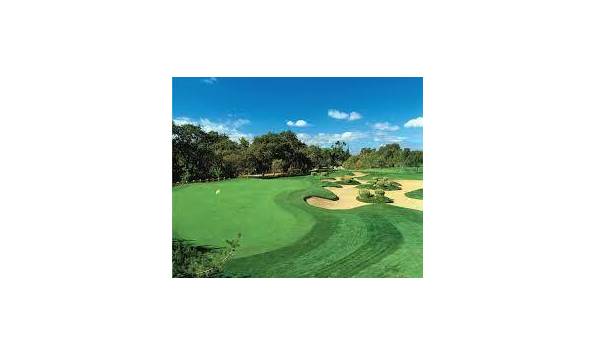 Big image mini magick20240212 45368 s9c6sn