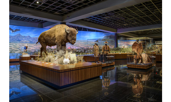 Big image mini magick20240212 45368 109je4n