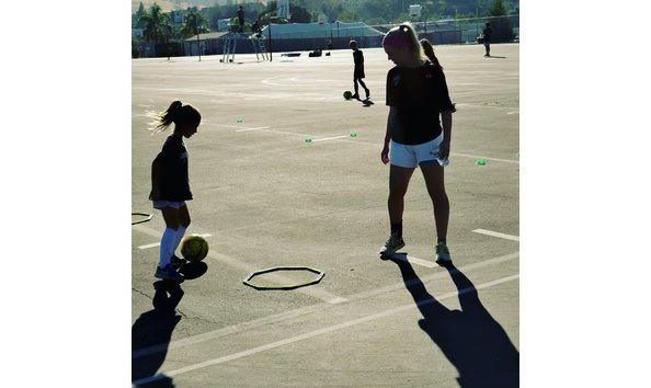 Big image mini magick20240212 45368 lpva8m