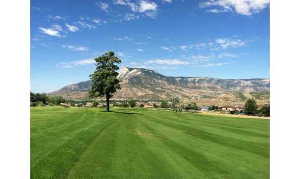 Big image big image 93381