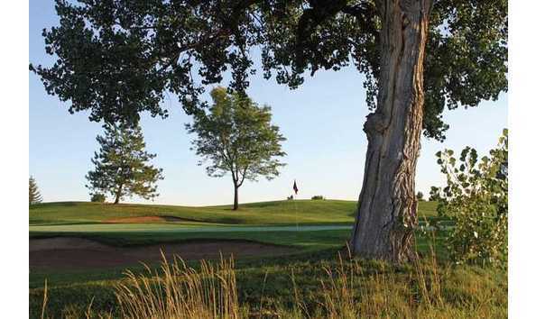 Big image big image 65658