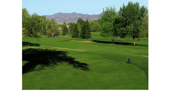 Big image big image 17th header print 1024x683