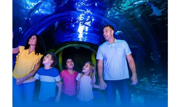 Big image sea life 2