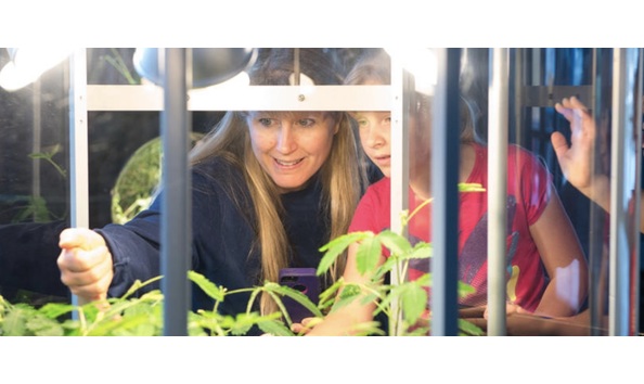 Big image 220 exploratorium 4