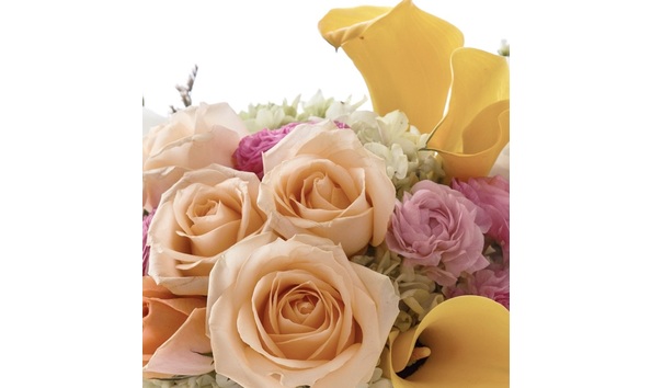 Big image 221 223 stanford floral design 1