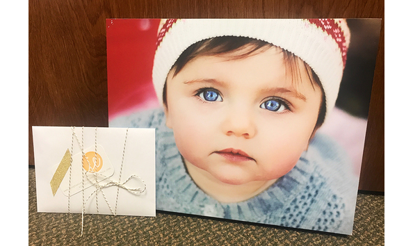 Big image stephanie marie photographie