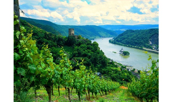 Big image pages from club paradiso wine cruise october 2016 2