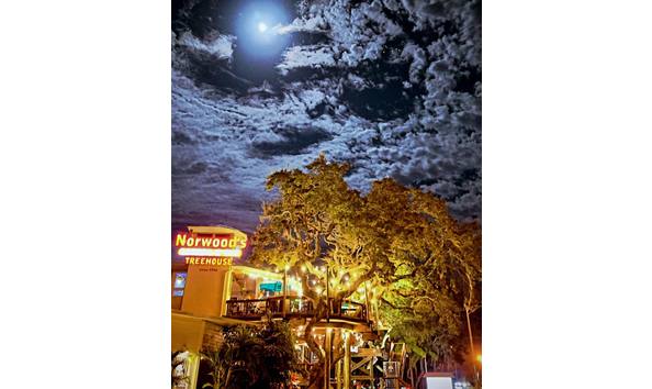 Big image norwoods at night