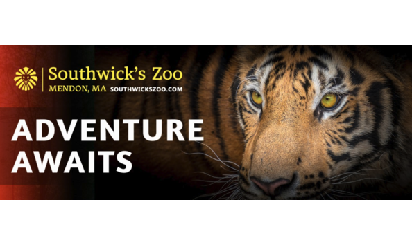 Big image screen shot 2024 02 16 at 2.16.49 pm