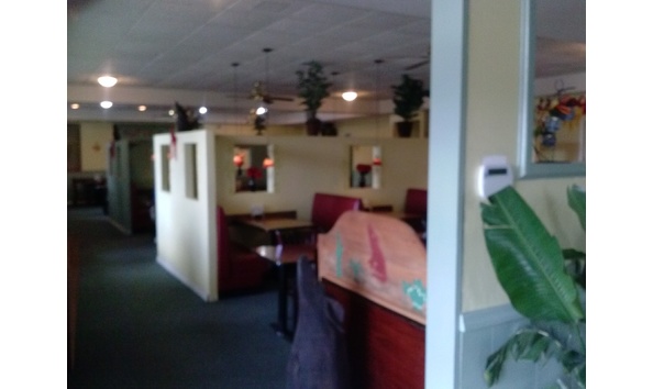 Big image coyote rojo1