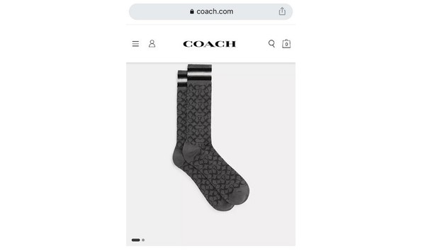 Big image coach