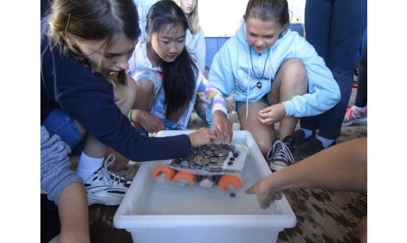 Big image 225 marine science institute