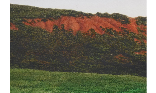 Big image read clay  wc  detail