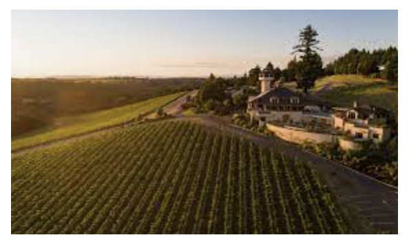 Big image screenshot 2024 02 23 at 11.03.22 am