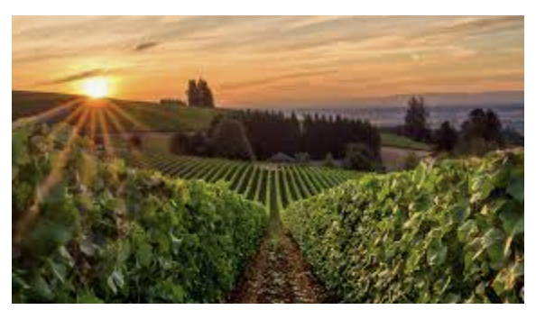 Big image screenshot 2024 02 23 at 11.03.30 am