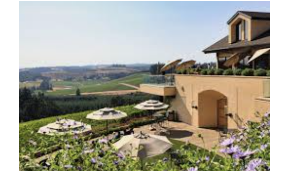 Big image screenshot 2024 02 23 at 11.03.39 am