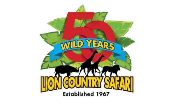 Big image image  lion counret safari