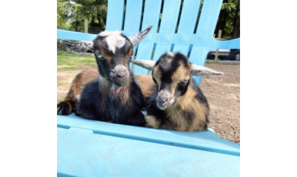 Big image screenshot 2024 02 23 at 11.30.03 am