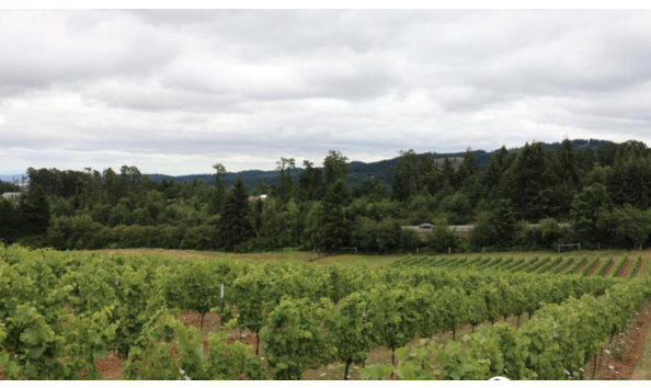 Big image screenshot 2024 02 23 at 11.48.32 am