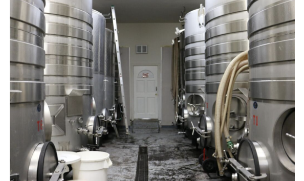 Big image screenshot 2024 02 23 at 11.48.42 am