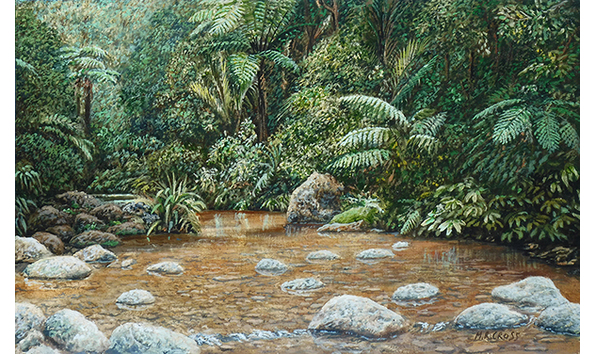 Big image waitakere stream 600