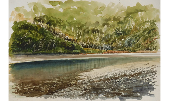 Big image tapotupotu stream  600