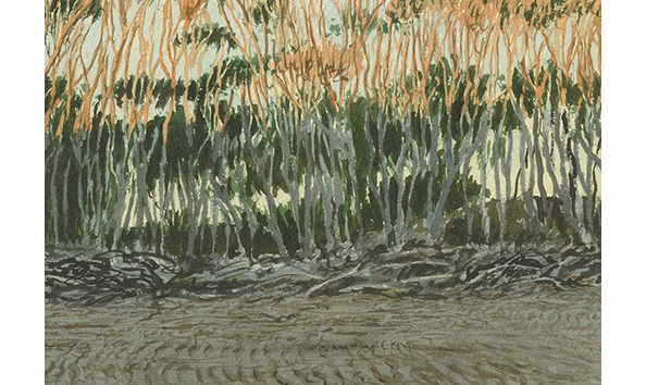 Big image sunlit kanuka  detail