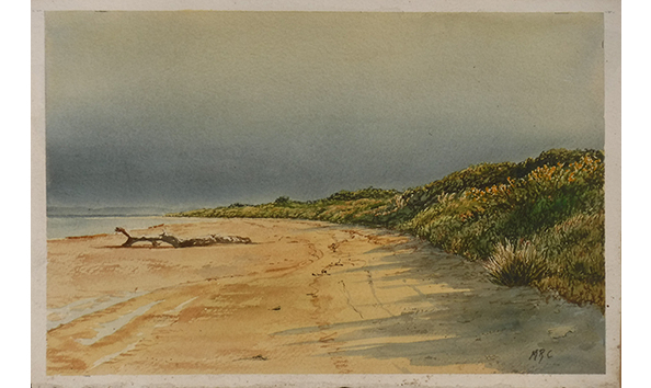 Big image bird s beach 600