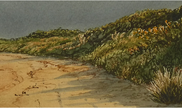 Big image bird s beach detail