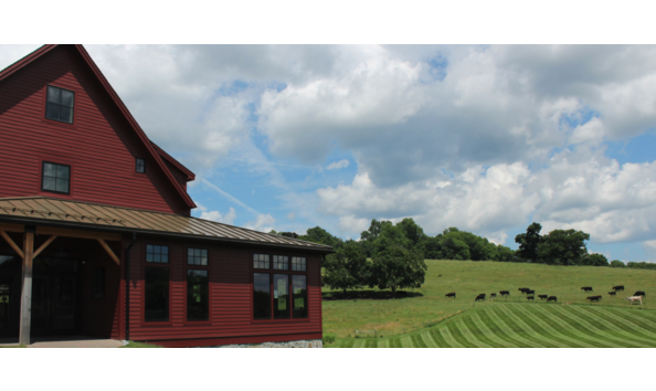 Big image screen shot 2024 02 25 at 6.18.01 am