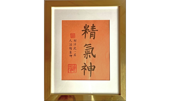 Big image screenshot 2024 02 28 at 4.48.48 pm