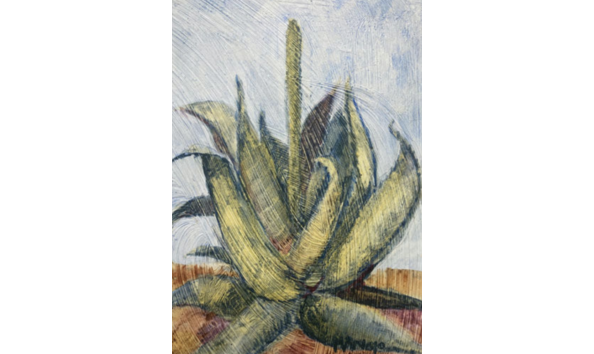 Big image screenshot 2024 02 28 at 5.10.14 pm