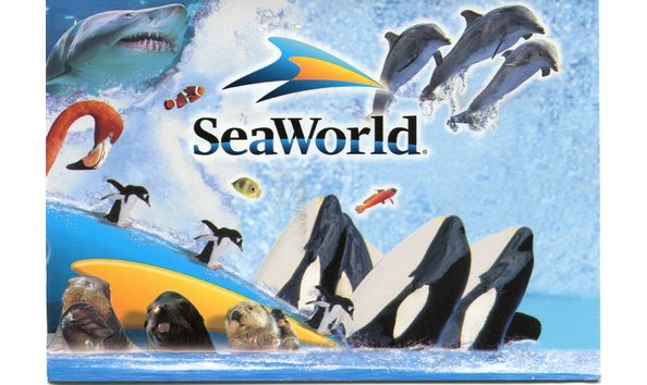 Big image sea world1