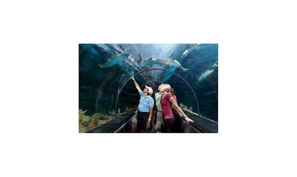 Big image sea world3