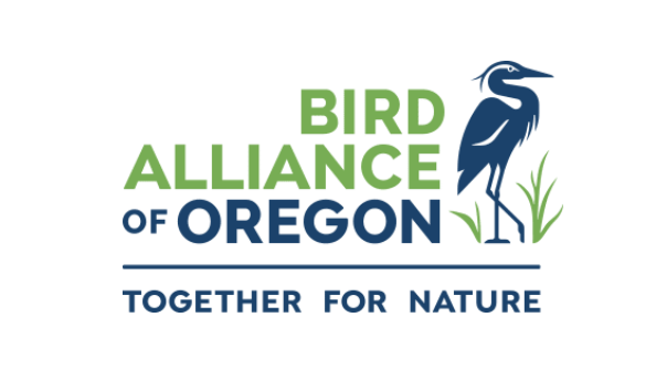 Big image screenshot 2024 02 29 at 12.34.06 pm