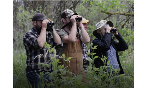 Big image screenshot 2024 02 29 at 12.35.48 pm