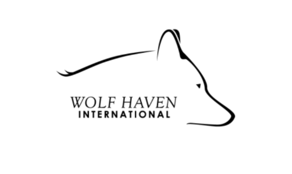 Big image screenshot 2024 02 29 at 1.27.51 pm