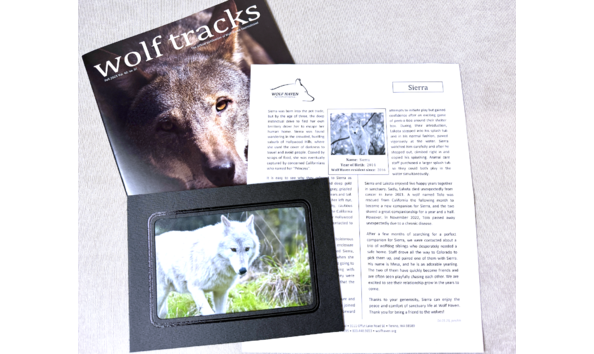 Big image screenshot 2024 02 29 at 5.03.21 pm