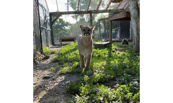 Big image 396717846 715981103897028 5316666746438489687 n