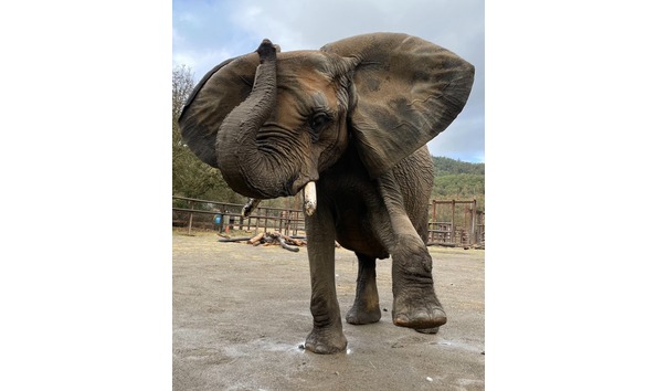 Big image 412329678 743112894517182 6676319345210376471 n