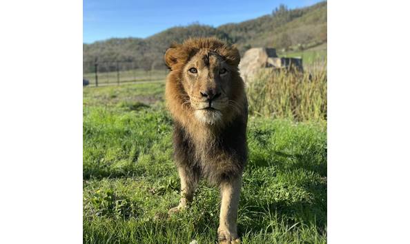 Big image 416221294 752422803586191 2871916237815877528 n