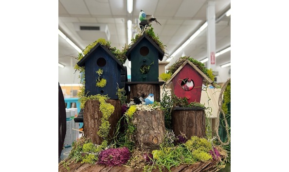 Big image 428689764 937294257766049 1642344159872560806 n