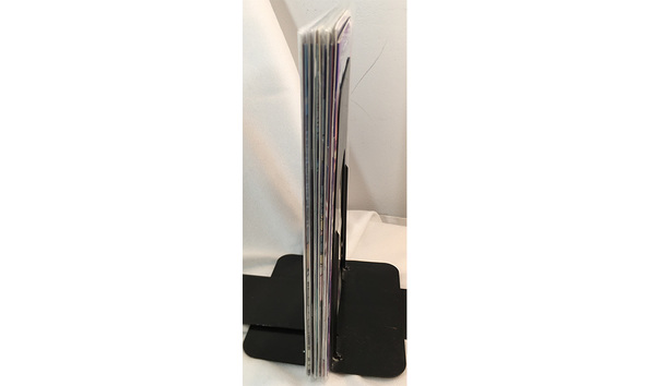 Big image 202209comic001 2   action lab dog of wonder