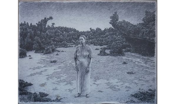 Big image drawing for refuge  600