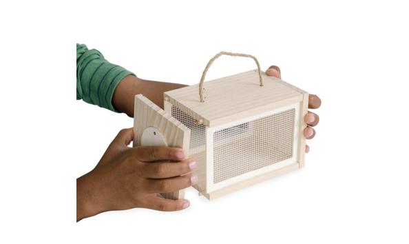 Big image screenshot 2024 03 08 at 3.13.41 pm