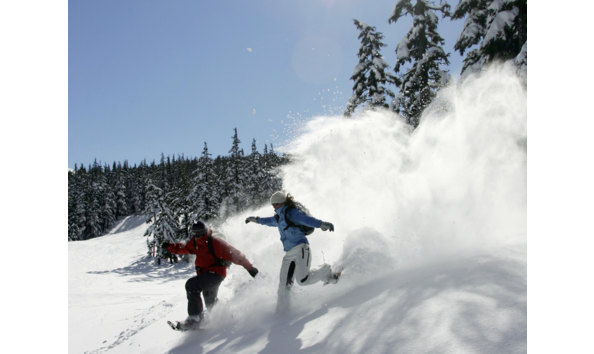 Big image screenshot 2024 03 08 at 3.31.40 pm