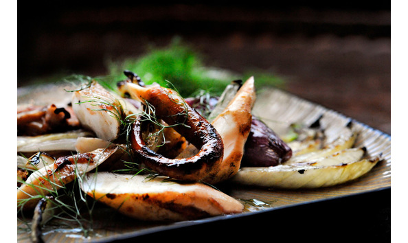 Big image mini magick20240311 42159 1they2h